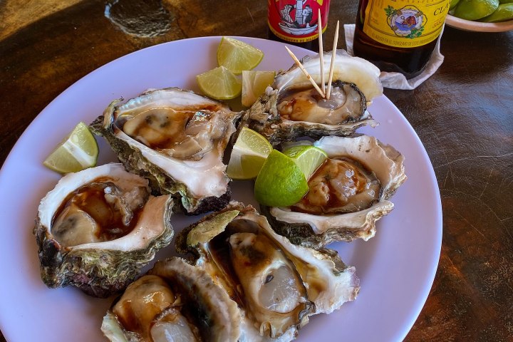 7. Ostiones en Mazatlán. Foto - @salsabichioficial (Instagram)