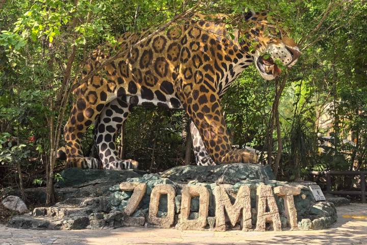 7. ZooMAT. Foto - @sectur_chiapas (Instagram)