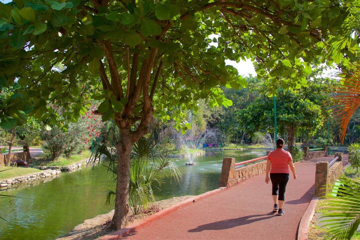 9. Joyyo Mayu. Foto - Tuxtla Gutiérrez (Expedia)