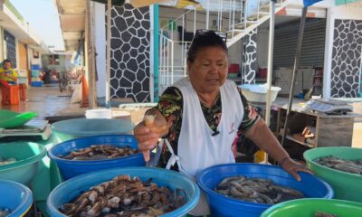 LAS CHANGUERAS DE MAZATLÁN