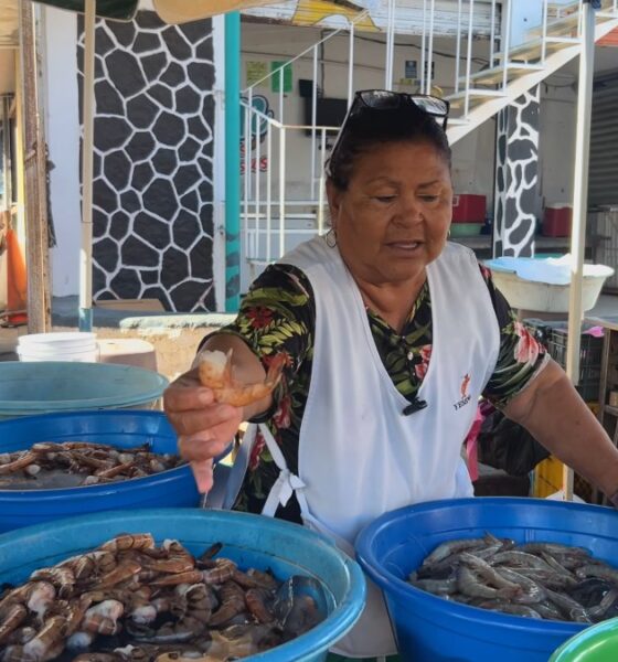 LAS CHANGUERAS DE MAZATLÁN
