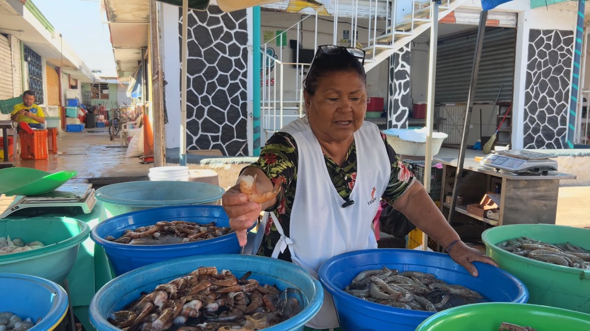 LAS CHANGUERAS DE MAZATLÁN