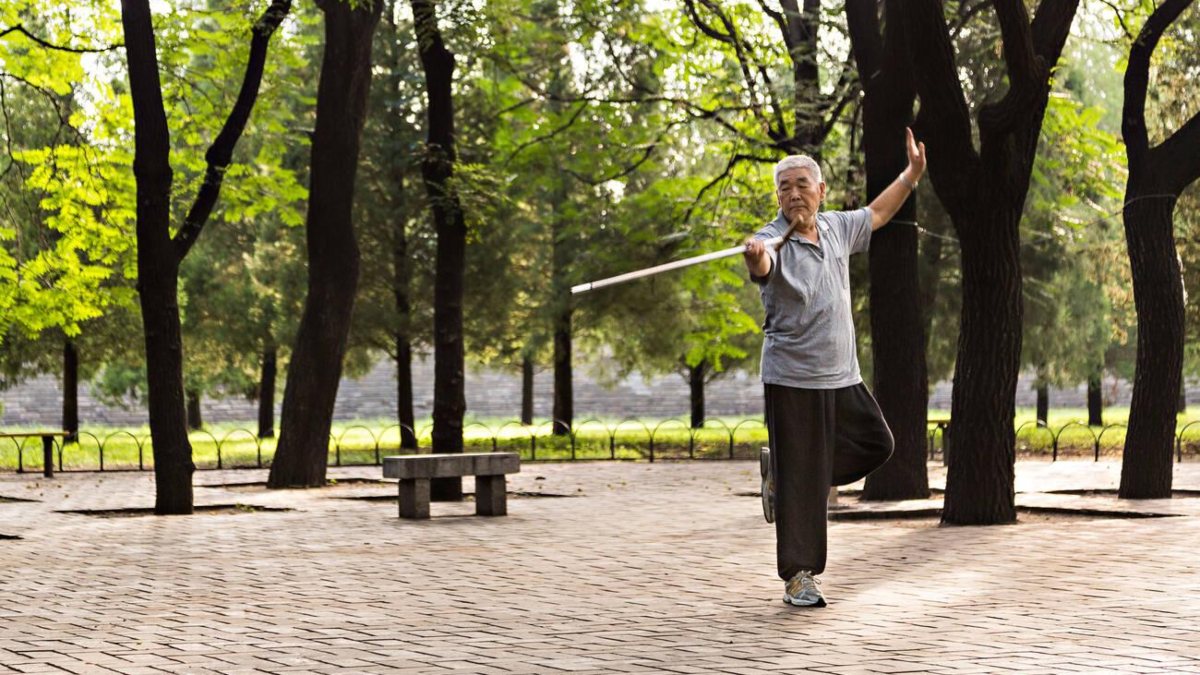 LOS ABUELOS DE LOS PARQUES DE CHINA