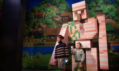 MINECRAFT EXPERIENCE