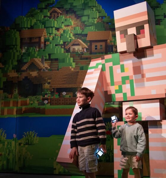 MINECRAFT EXPERIENCE