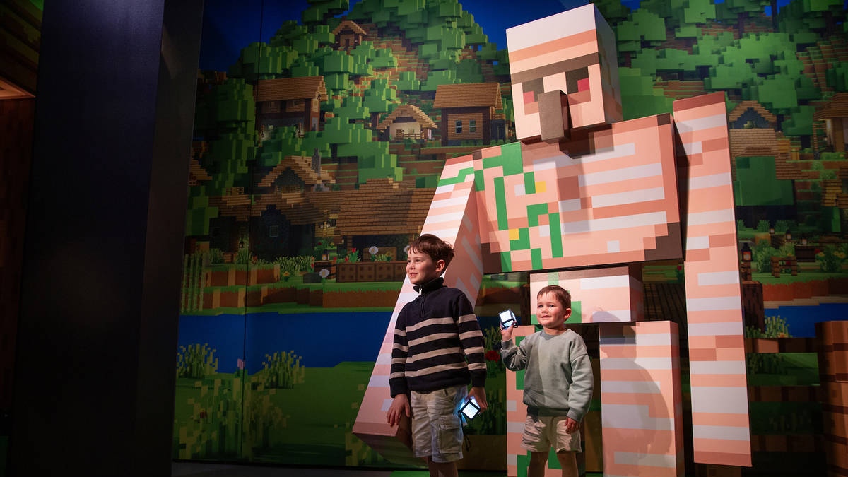 MINECRAFT EXPERIENCE