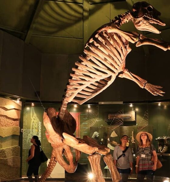 RUTA CULTURAL POR TUXTLA GUTIÉRREZ