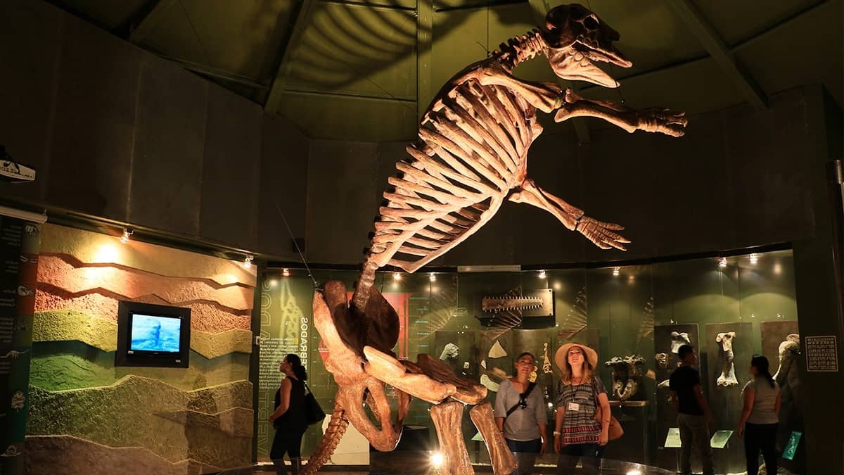 RUTA CULTURAL POR TUXTLA GUTIÉRREZ