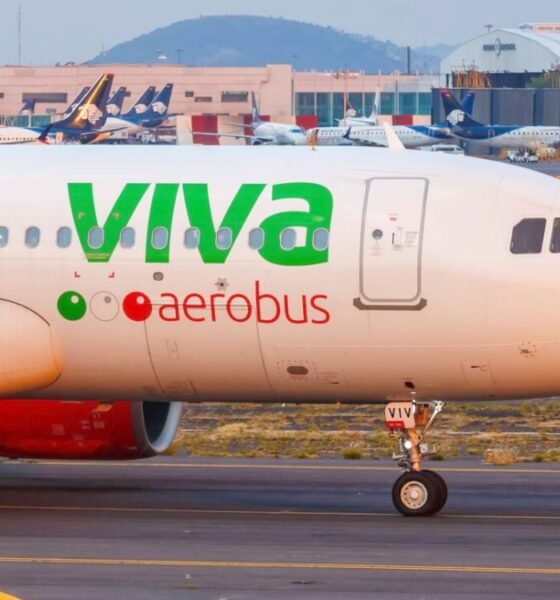 VIVA LLEGA A SAN LUIS POTOSÍ
