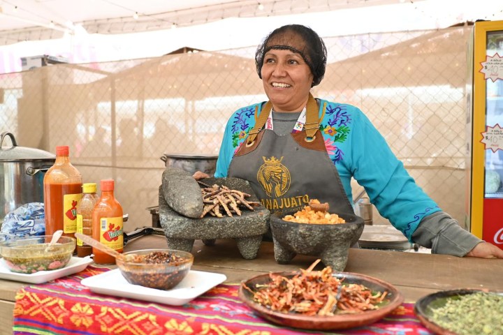 1. Cocinera tradicional de Guanajuato. Foto - Boletines Dependencias