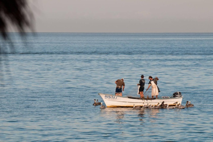 1. Pescadores en Puerto Vallarta. Foto - Alamy