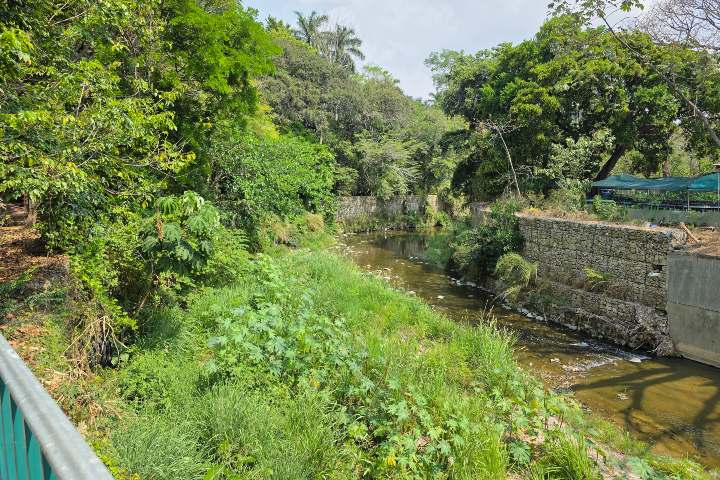Vista al río Sabinal. Foto - Manuel Molina.