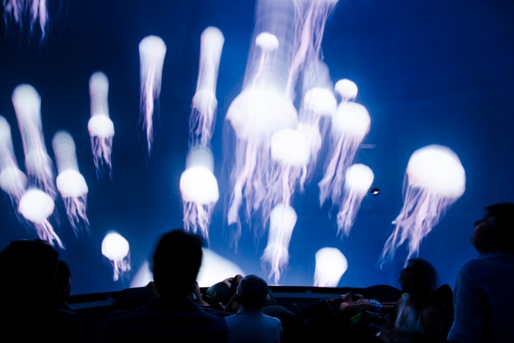 2. Cosmos en el Museo del Mañana en Brasil. Foto - Museu do Amanhã