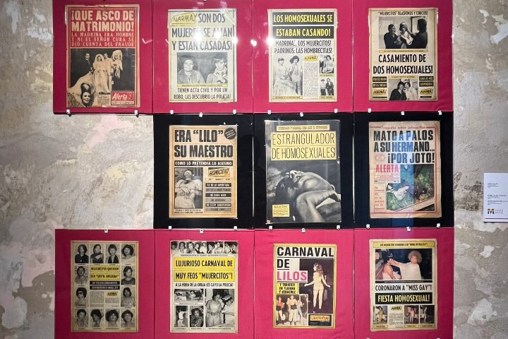 2. Publicaciones exhibidas en el Museo de la Memoria LGBTTTIQ+. Foto - @baruchdom (X)