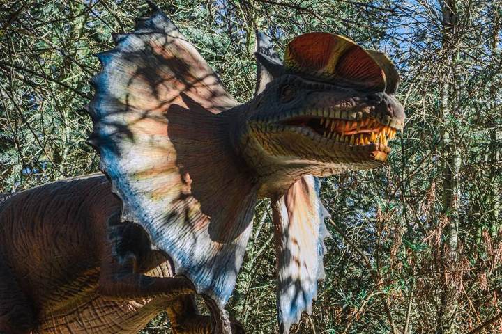 2. Dinosaurio de Vulcano Jurásico. Foto - @volcanicpark (Instagram)