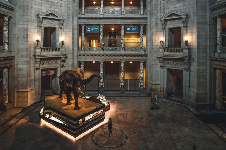 2. Museo Nacional de Historia Natural Smithsonian. Foto - El Hotel Mayflower