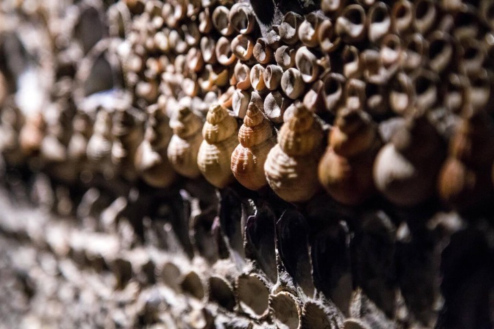 2. Conchas y caracoles en la Gruta de las Conchas. Foto - Alamy
