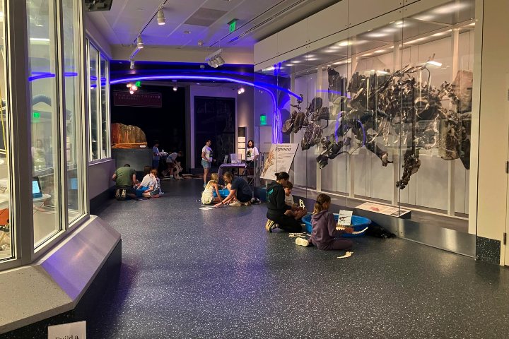 3. Smithsonian Sleepover. Foto - Smithsonian Associates (Facebook)