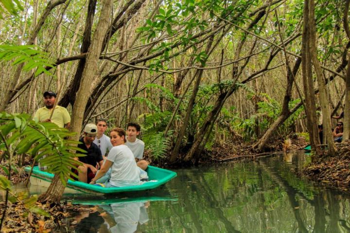 3. Paseo por manglares de San Crisanto. Foto - Co'ox Mayab