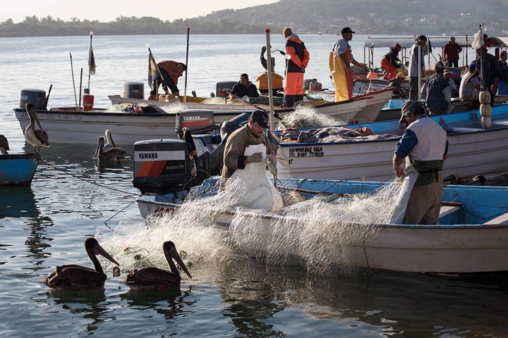 4. Pescadores en Mazatlán. Foto - Alamy