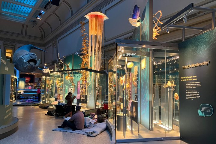 4. Smithsonian Sleepover. Foto - Smithsonian Associates (Facebook)