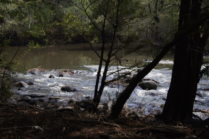 4. Río Lerma. Foto - Gus Espinosa