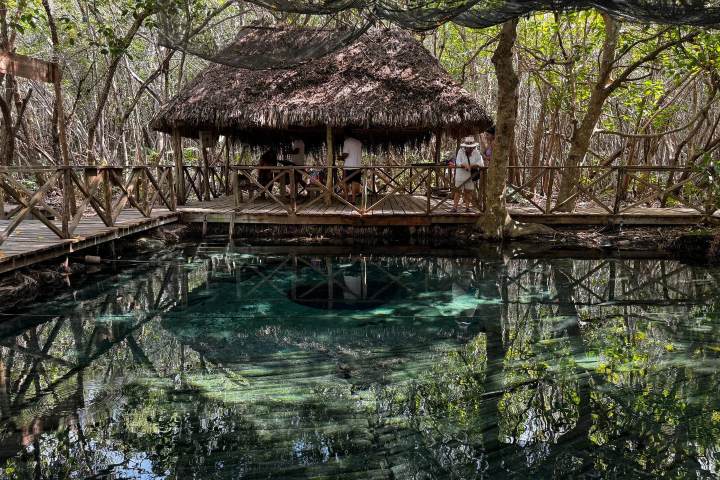 4. Cenote Dzonot dziik. Foto - Manglares San Crisanto
