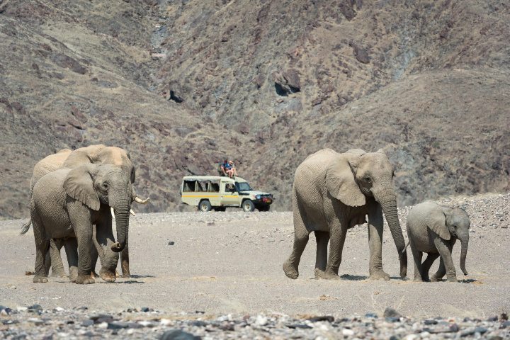4. Safari en la Costa de los Esqueletos. Foto - Kusini Safaris