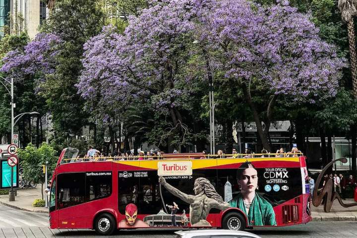 5. Turibus en la CDMX. Foto - @isa_salomong (Instagram)