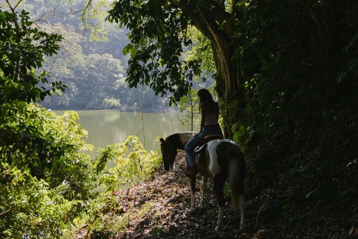 8. Visitante en Hacienda de San Antonio, Comala. Foto - @haciendadesanantonio (Instagram)