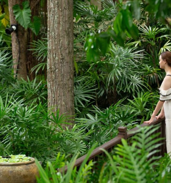 CÓMO EVITAR EL GREENWASHING MIENTRAS VIAJSA
