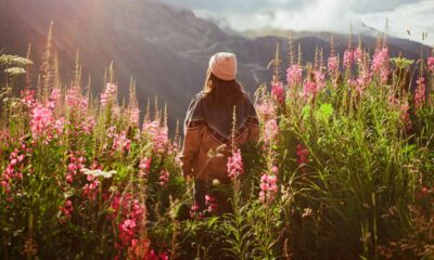 CONOCE LA RUTA DE LAS FLORES EN BAJA CALIFORNIA SUR