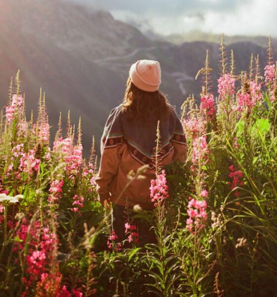 CONOCE LA RUTA DE LAS FLORES EN BAJA CALIFORNIA SUR