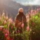 CONOCE LA RUTA DE LAS FLORES EN BAJA CALIFORNIA SUR