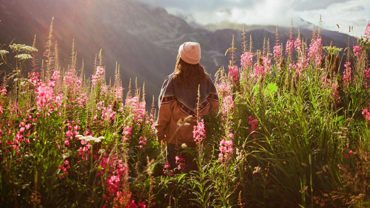 CONOCE LA RUTA DE LAS FLORES EN BAJA CALIFORNIA SUR