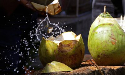 EL MUSEO DEL COCO EN EL COACOYUL