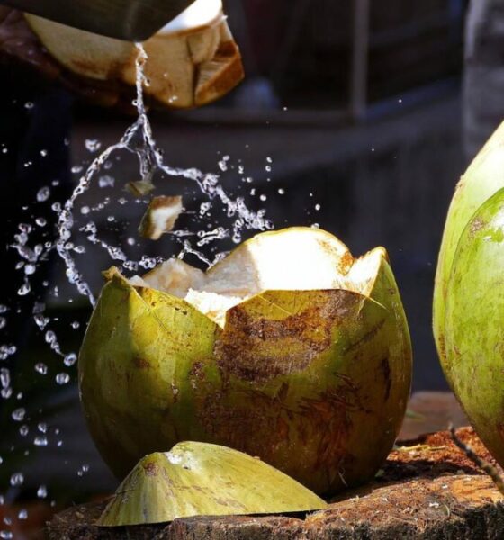 EL MUSEO DEL COCO EN EL COACOYUL