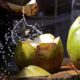 EL MUSEO DEL COCO EN EL COACOYUL
