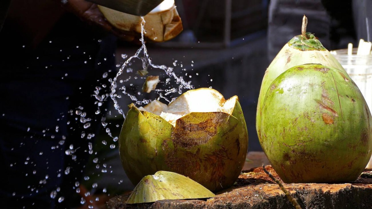 EL MUSEO DEL COCO EN EL COACOYUL