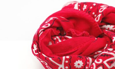 EL PALIACATE MEXICANO