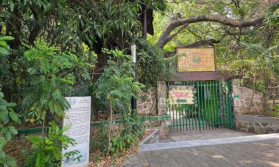 Museo Jardín Botánico Faustino Miranda- una mirada a Chiapas a través de su naturaleza