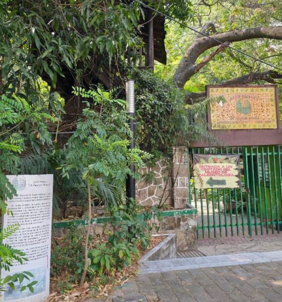 Museo Jardín Botánico Faustino Miranda- una mirada a Chiapas a través de su naturaleza