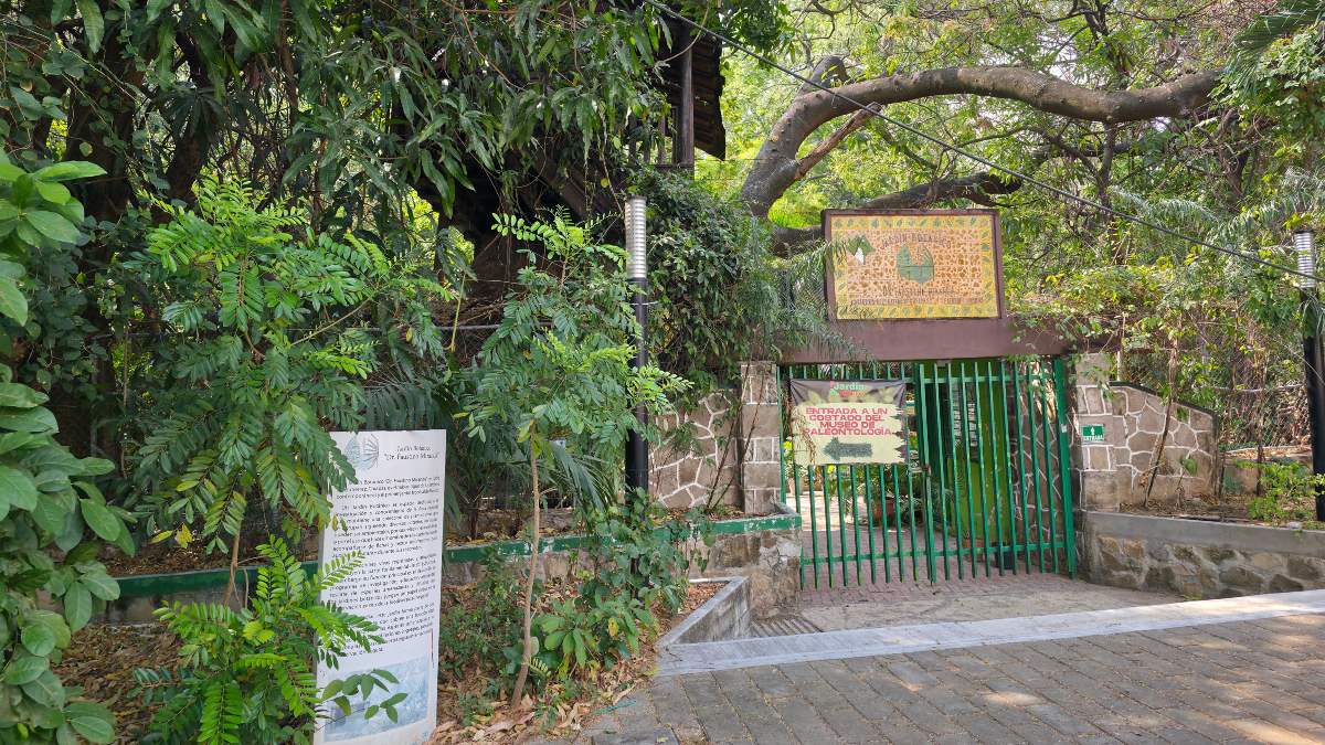 Museo Jardín Botánico Faustino Miranda- una mirada a Chiapas a través de su naturaleza