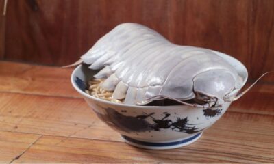 RAMEN DE ISÓPODO GIGANTE EN TAIWAN