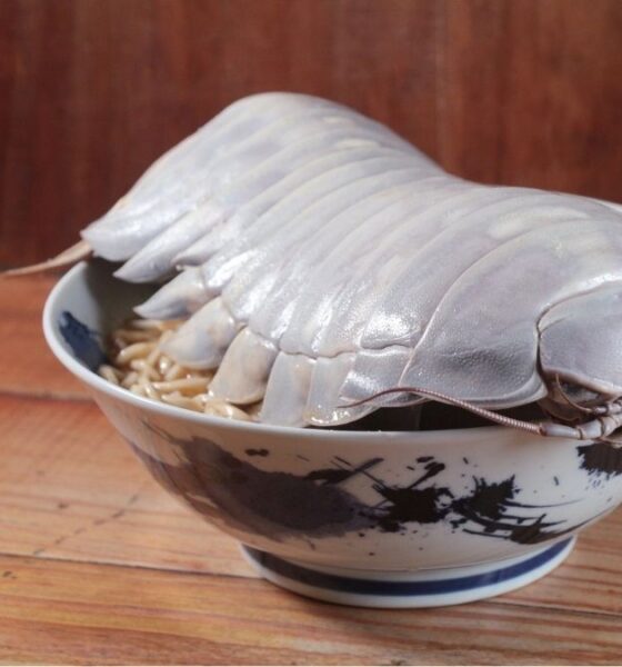 RAMEN DE ISÓPODO GIGANTE EN TAIWAN