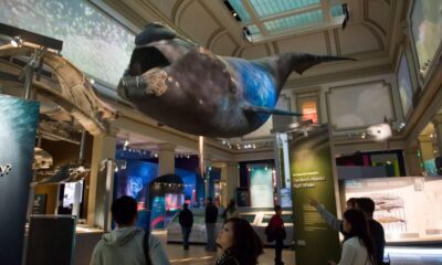 SMITHSONIAN SLEEPOVER, PIJAMADA EN EL MUSEO