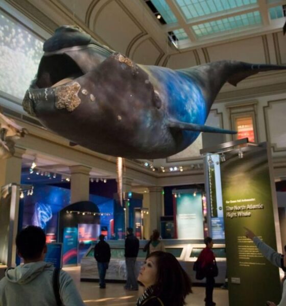 SMITHSONIAN SLEEPOVER, PIJAMADA EN EL MUSEO