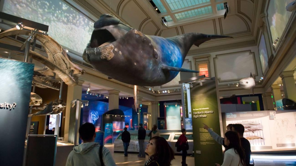 SMITHSONIAN SLEEPOVER, PIJAMADA EN EL MUSEO