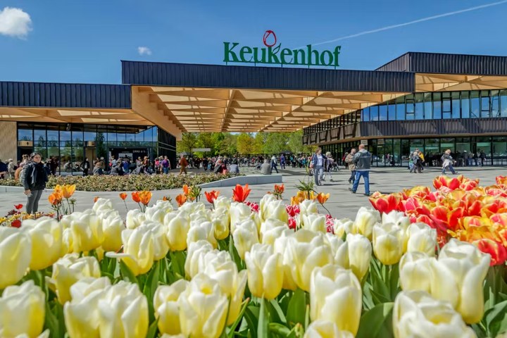 1. Entrada de Keukenhof. Foto - Headout