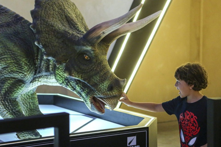 1. Niño en el Museo del Meteorito. Foto - Shutterstock